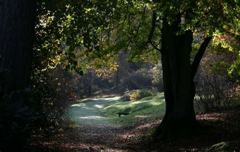 Leonardslee Garden in autumn - page 1