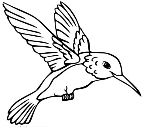 Hummingbird To Print coloring page - Download, Print or Color Online for Free