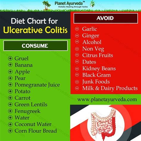 Diet Plan for Ulcerative Colitis Patients | Ulcerative colitis diet, Colitis diet, Ulcer diet