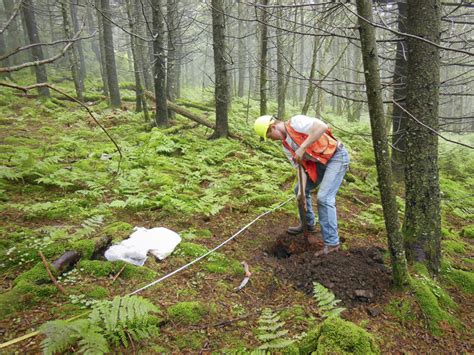 Forest soils recovering from effects of acid rain | Soil Science Society of America