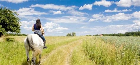 Horseback Riding Tips for Beginners Active Weekender