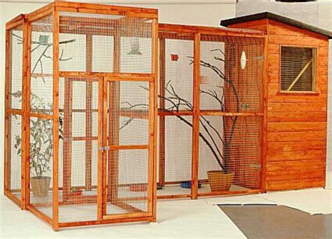 Indoor/Outdoor Aviary | Bird aviary, Pet bird cage, Pet birds