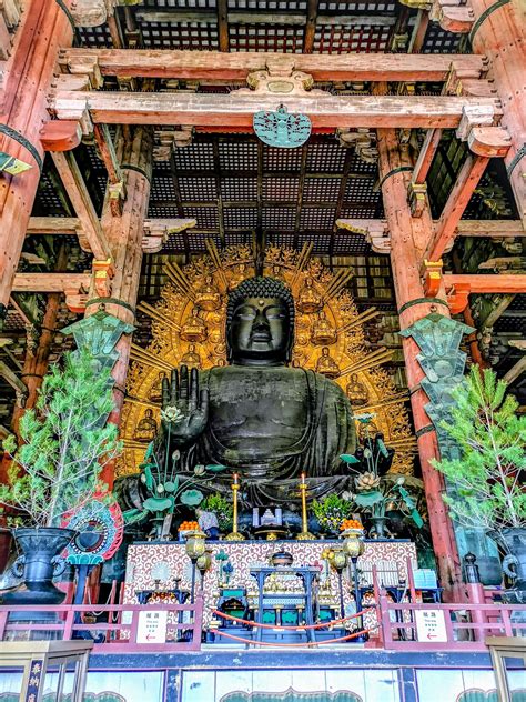 The sublime bronze Buddha at Todaiji temple in Nara, Japan. : r/Buddhism