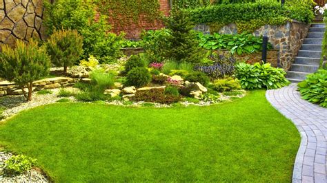 Ultimate Guide to Landscape Maintenance - Exscape Designs