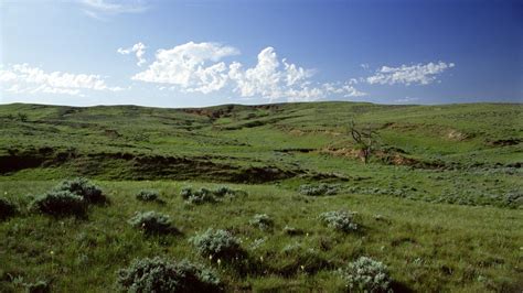 Thunder Basin National Grassland | Wyoming, Grassland, Purple mountain ...