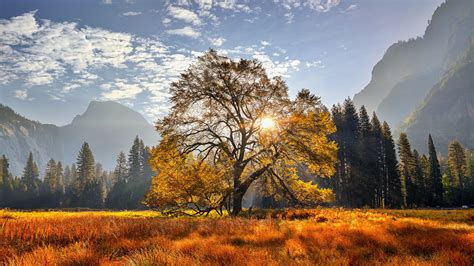 Yosemite National Park California Meadow Mountain With Trees HD Nature ...