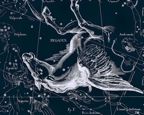 Uranographia- totum caelum stellatum- Johannes Hevelius, 1687. Pegasus Astronomy Poster ...