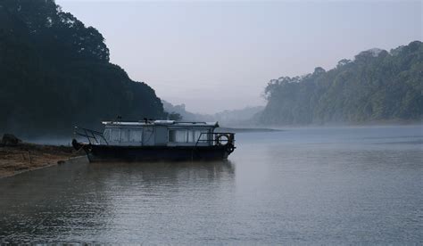 Periyar National Park in Thekkady: Timings, History, Entry Fee & Location