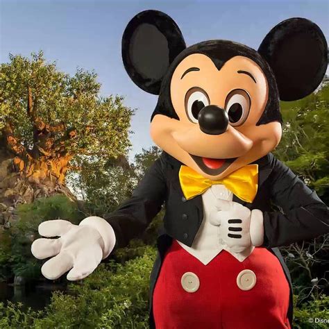 Mickey Mouse Disneyland | Mickey mouse, Mickey, Disney face characters