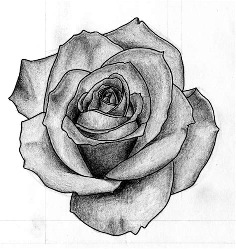 Free Rose Black And White Drawing, Download Free Rose Black And White ...