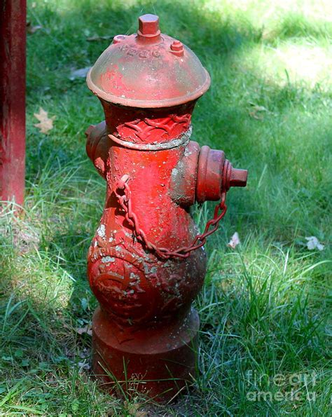 Old Fire Hydrant Photograph by Pamela Walrath