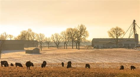 Kentucky Agricultural Development Board Approves Projects | Morning Ag Clips