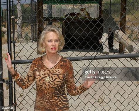 331 Tippi Hedren Roar Stock Photos, High-Res Pictures, and Images - Getty Images