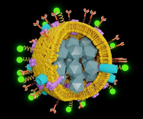 Properties of Liposome Nanoparticles for Drug Delivery Stock ...