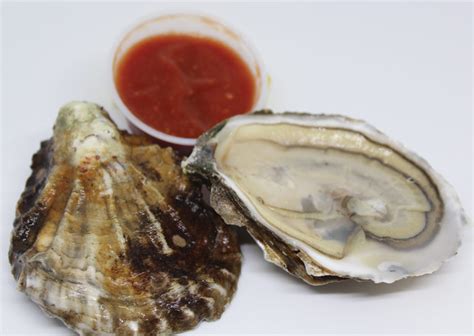 Blue Point Oysters In Shell - Cruising Crab