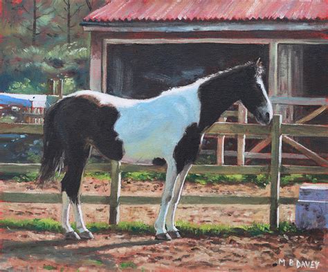 Brown and White Horse by Stable Painting by Martin Davey - Fine Art America