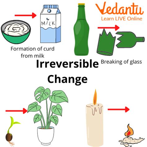 Reversible Changes and Irreversible Changes | Learn Important Terms and Concepts