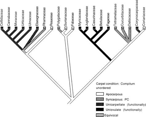 Effects of variation in pollen load, carpel number, number of ovules... | Download Scientific ...