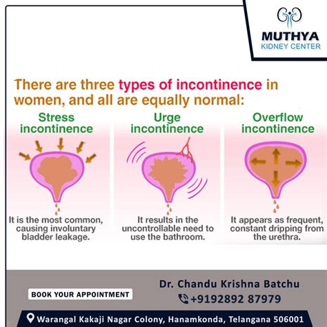 Urinary incontinence — the loss of bladder control — is a common and often embarrassing problem ...