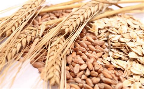 Wheat Allergies: Signs, Symptoms, and Management - America's Best Care Plus