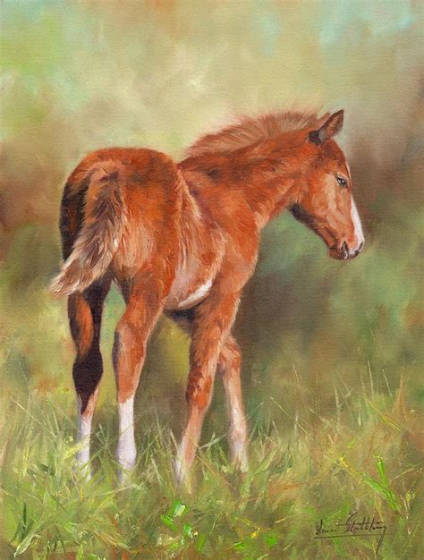 Chestnut Foal Painting by David Stribbling