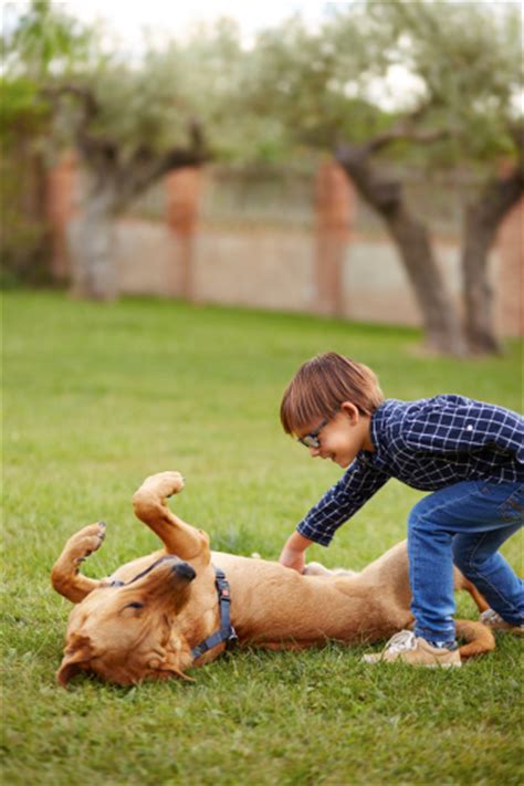 Best Dog Breeds for Kids with Autism | Connections Therapy Center