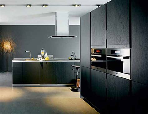 Cabinets for Kitchen: Photos Black Kitchen Cabinets