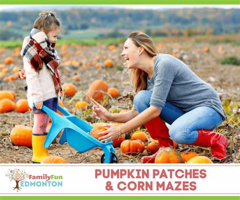 Pumpkin Patches & Corn Mazes In Edmonton | Family Fun Edmonton