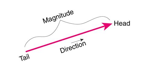 Types of Vectors | Definition of Different Vectors in Maths