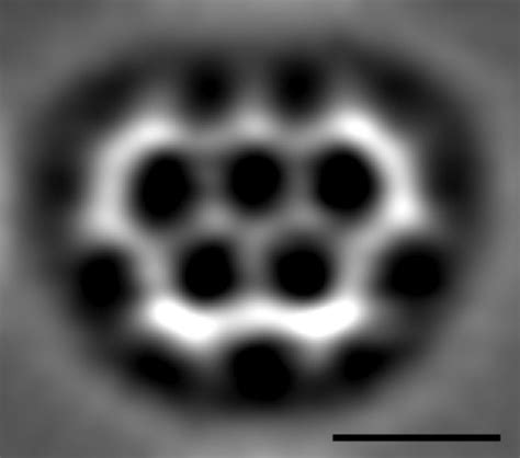 carbon monoxide microscopic - Google Search | Organic chemistry, Scientist, Chemistry