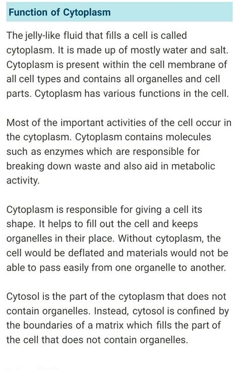 Write down the function of chromoplast in points? - Brainly.in