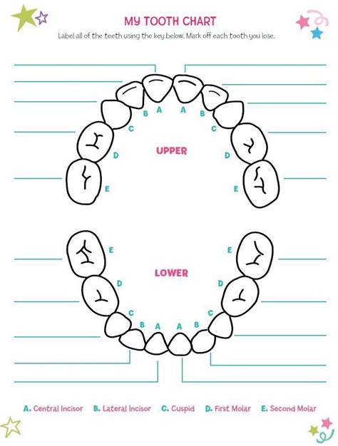 Baby Teeth Chart Letters | tbh for friends