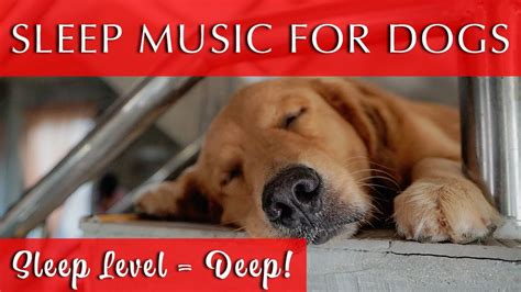 Music to Make Dogs Go to Sleep Fast | Sleep Level = DEEP! - YouTube