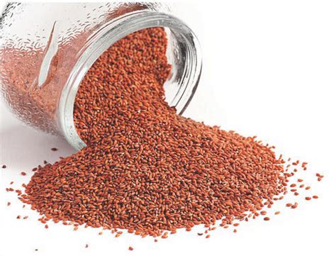 Garden cress seeds: Benefits, uses and side effects