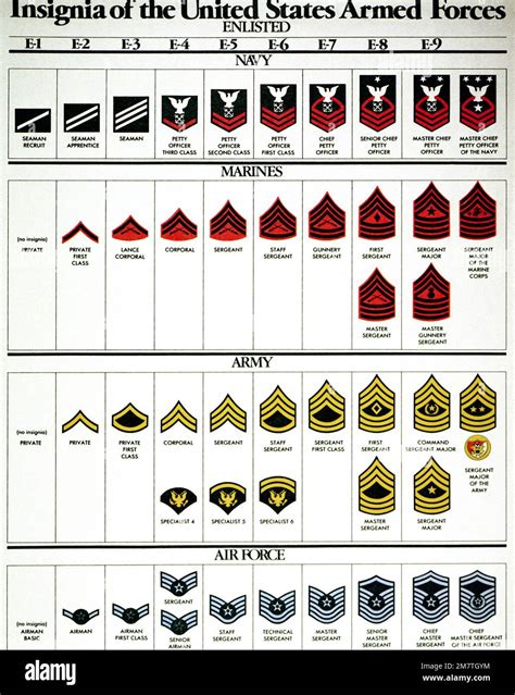 Chart of enlisted personnel insignia for the U.S. Armed Forces. Country: Unknown Stock Photo - Alamy