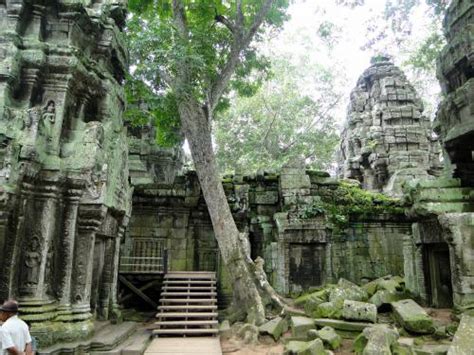 Ta Prohm (Tomb Raider) Temple : Angkor | Visions of Travel