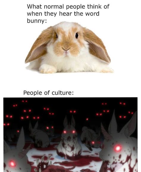 865 best Cute Bunny images on Pholder | Aww, Cute and Re Zero