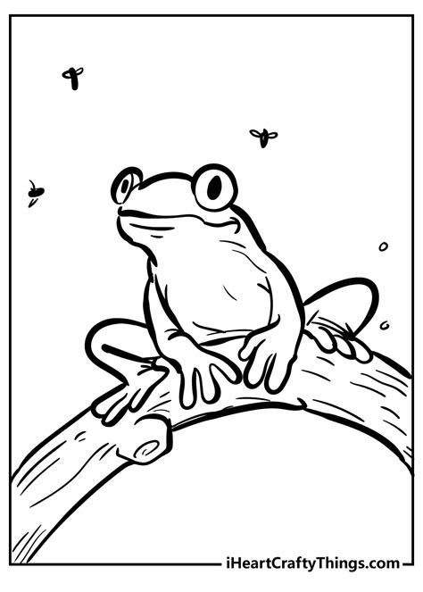 Baby Frog Coloring Pages