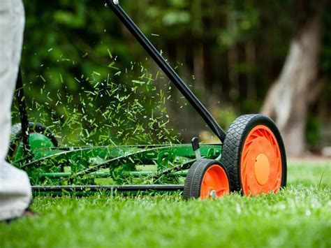 How to Remove Lawn Thatch | DIY