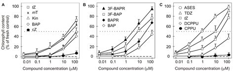 IJMS | Free Full-Text | Role of Cytokinins in Senescence, Antioxidant ...