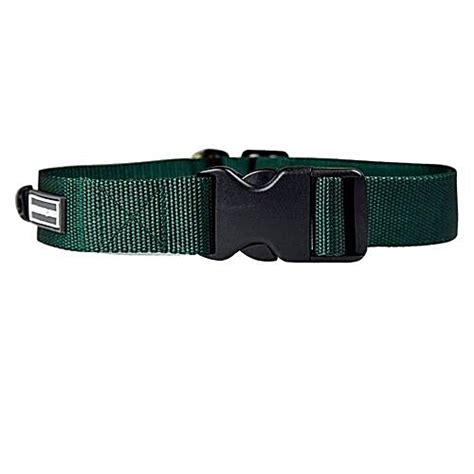 Buy Heads up for tails Dog Collar - L, Nylon, Olive Green, Classic Online at Best Price of Rs ...