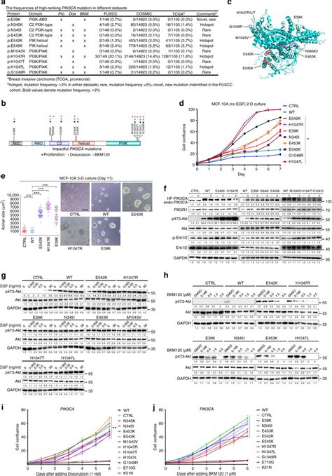 Validation of impactful PIK3CA mutation-induced phenotypes related to... | Download Scientific ...