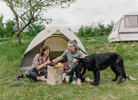 7 Best Dog-friendly Camping Grounds in the USA - Off The Grid Planet