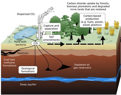 How Does Carbon Capture Work? - Universe Today