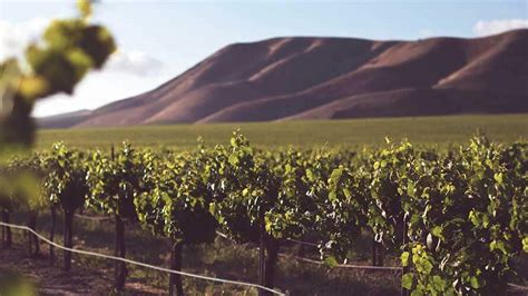 Personalized Wine Tours in Napa & Sonoma | California Wine Tours ...