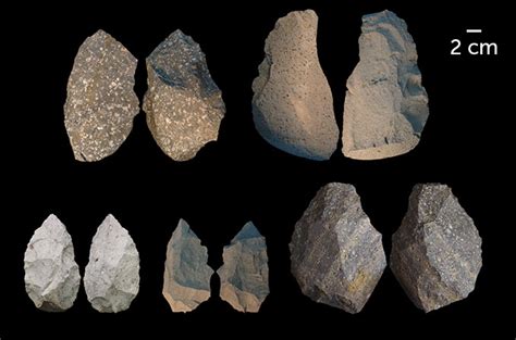 New fossils and artifacts show Homo erectus crafted a diverse toolkit