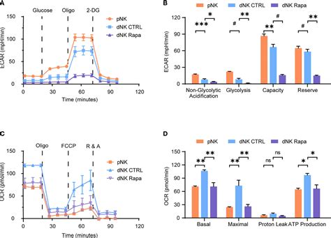 Frontiers | The mTORC1 Signaling Support Cellular Metabolism to Dictate Decidual NK Cells ...