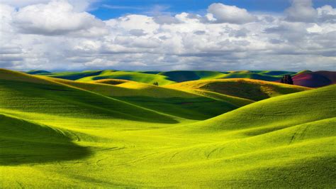 🔥 Download Pics Photos Beautiful Green Hills by @bethanys54 | Green ...