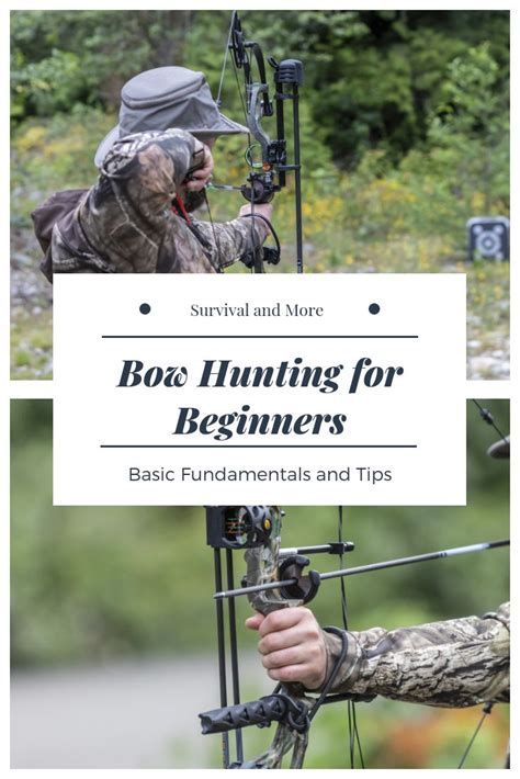 Bow Hunting For Beginners: Basic Fundamentals and Tips | Bow hunting ...