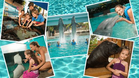 Why Should you Visit the Interactive Aquarium Cancun?